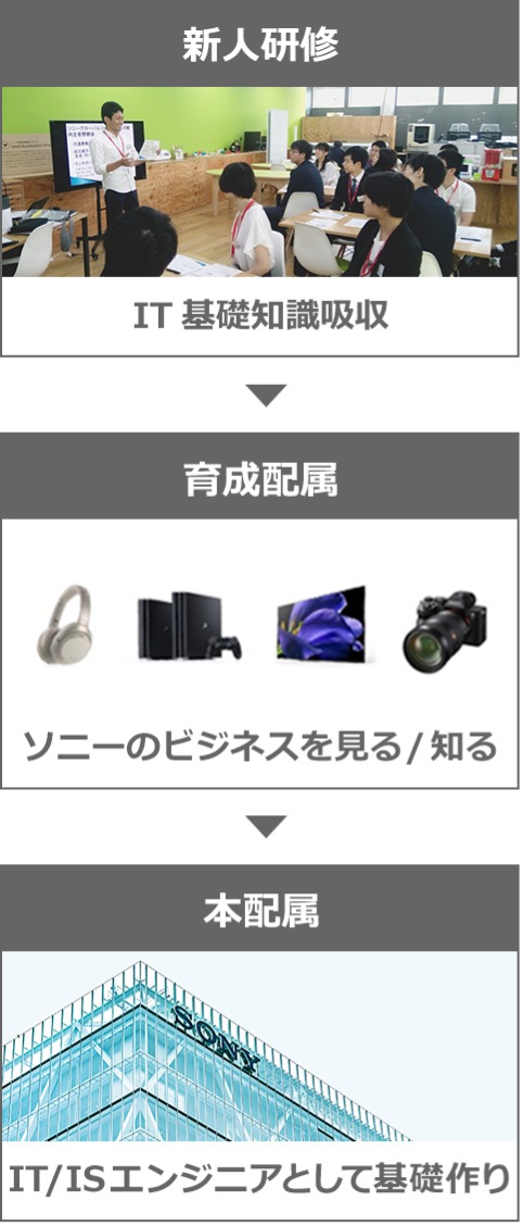 新人研修：IT基礎知識吸収、育成配属：ソニーのビジネスを見る/知る、本配属：IT/ISエンジニアとして基礎作り